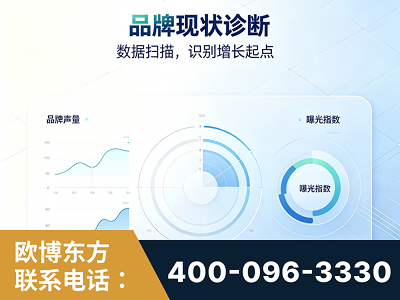 台山-品牌现状诊断